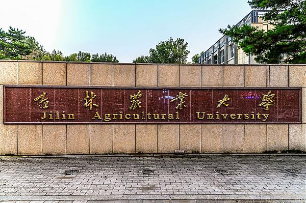 吉林农业大学3+4对口本科升学专业介绍 图1